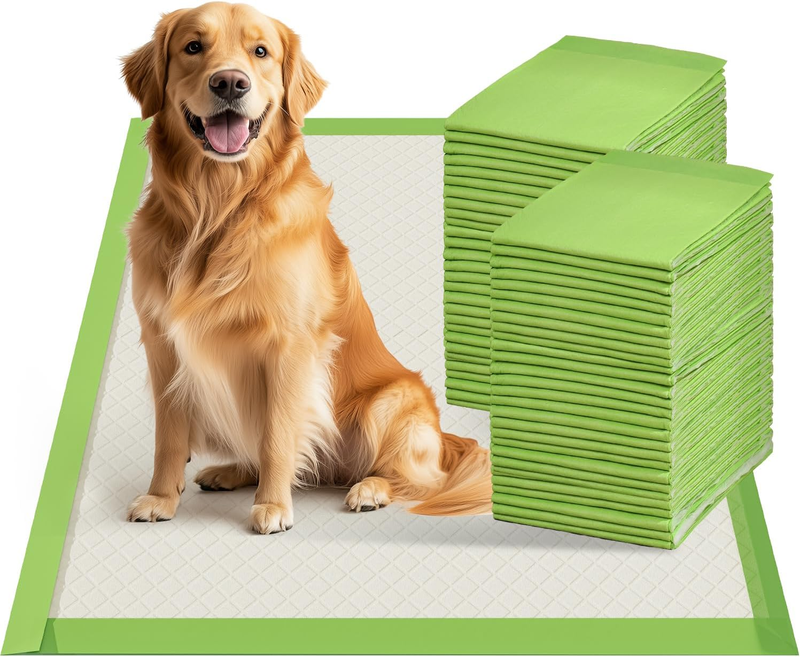 Dog Pee Pads Extra Large 28"X34", XL Thicker ECO Green Disposable Xlarge Puppy T9