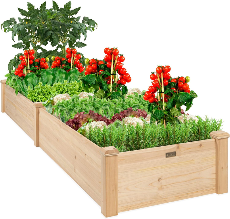 8FT Outdoor Wooden Raised Garden Bed Planter for Veggies & Lawn - Natural8
