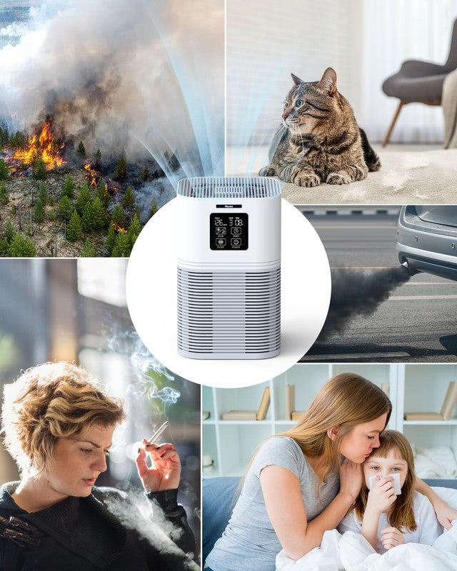 HEPA Air Purifier for Large Rooms, Quiet Pet Dander & Wildfire Cleaner6