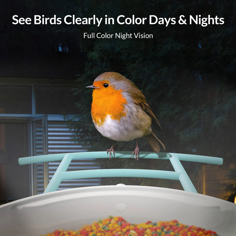 Bird Camera Smart Bird Feeder Camera w Solar Panel for Outdoor Bird Watching3