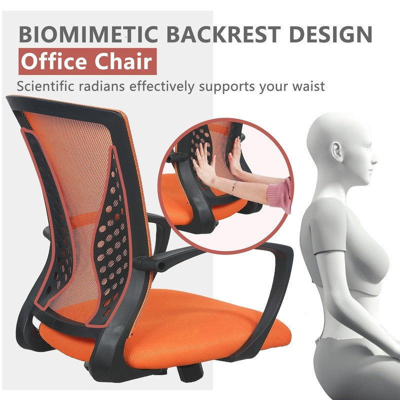 Ergonomic Office Chair, Lumbar Support, Adjustable Height with Armrests for Adul5