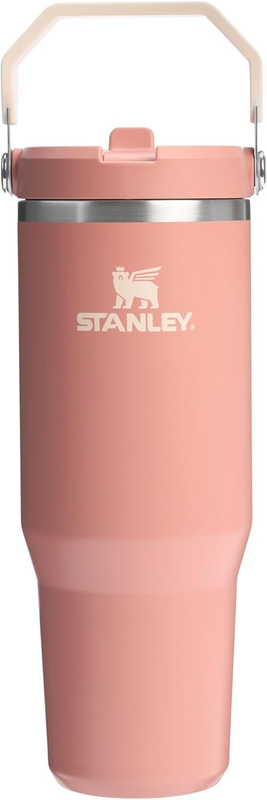 30oz Flip Straw Tumbler Stainless Steel Insulated Leak Resistant Handle Sienna11