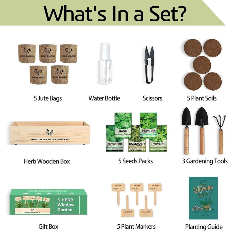5 Herb Seeds Garden Starter Kit with Complete Planting Kit & Wooden Flower Box, 1