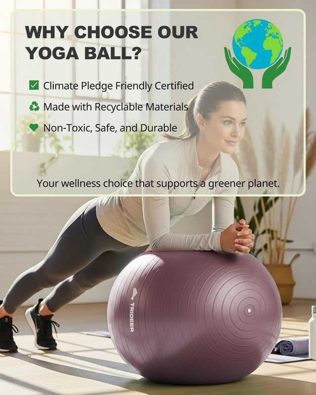 Exercise Ball Yoga Ball,Office Seating & Balance Ball Chair, Stability Ball for 2