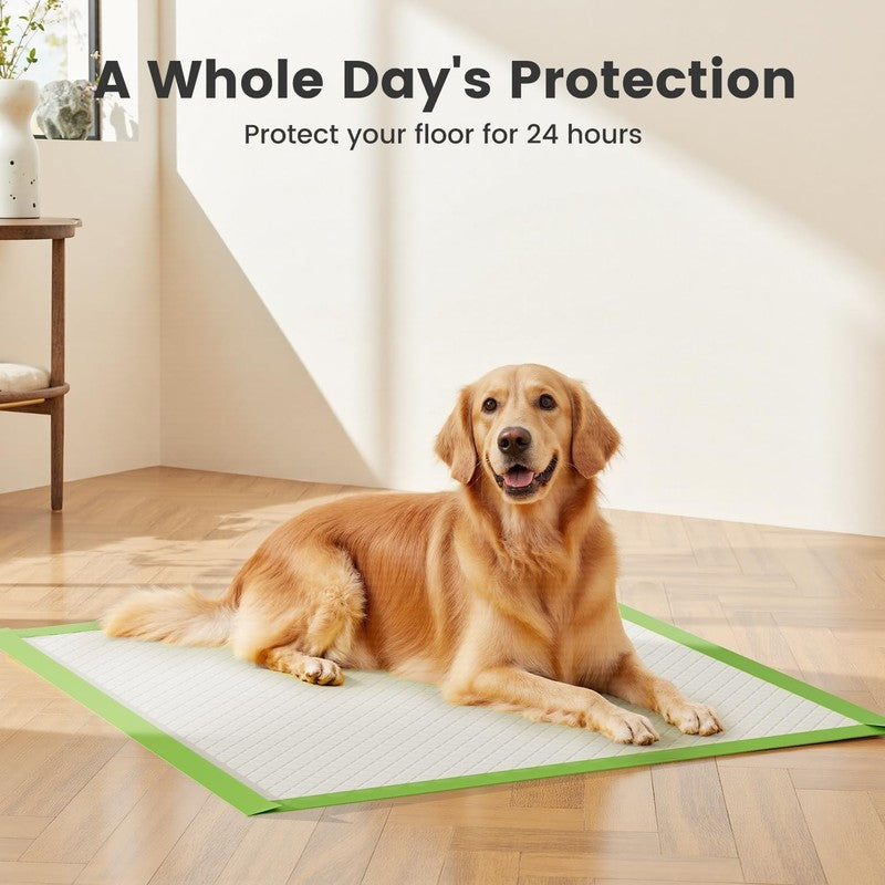 Dog Pee Pads Extra Large 28"X34", XL Thicker ECO Green Disposable Xlarge Puppy T4