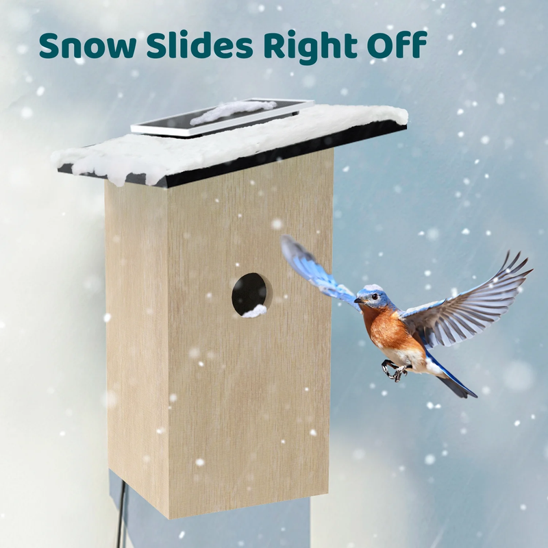 Smart Bird Houses for outside Solar Powered, 1080P HD Live View Bird House with 6