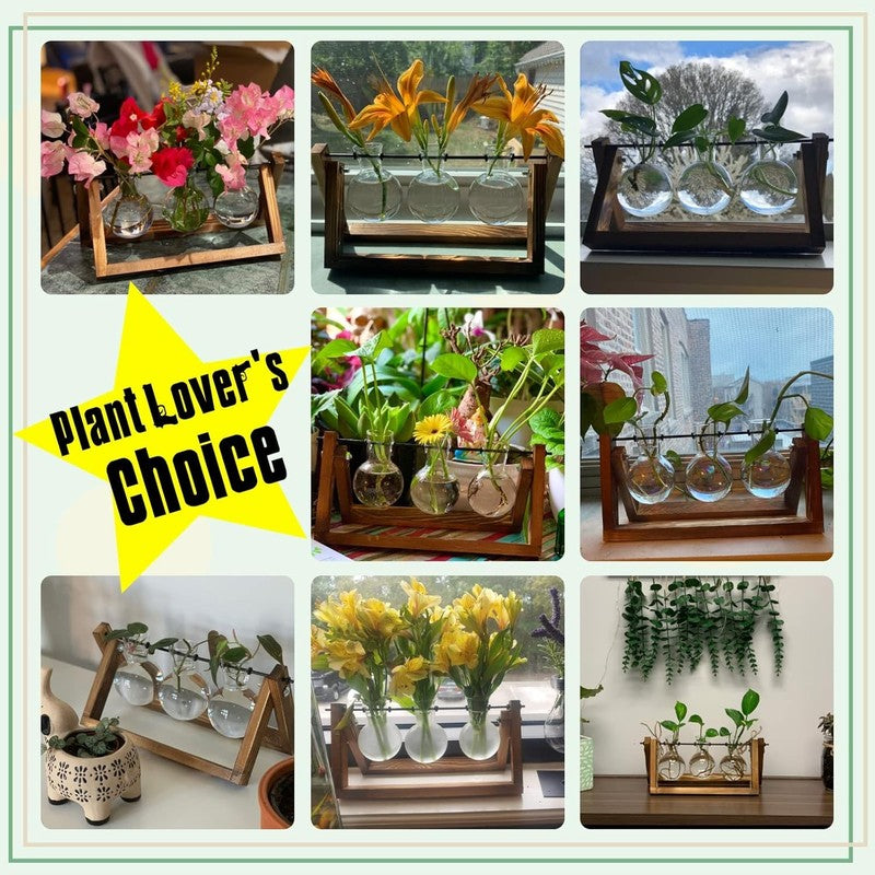 Plant Terrarium with Wooden Stand, Air Planter Bulb Glass Vase Metal Swivel Hold4