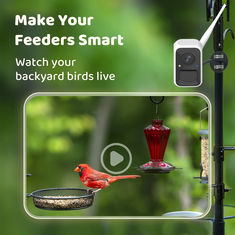 Bird Camera Smart Bird Feeder Camera w Solar Panel for Outdoor Bird Watching8