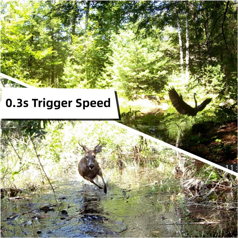 2 Pack 30MP Trail Cameras 1080P Night Vision Motion IP66 SD Card Wildlife Cam3