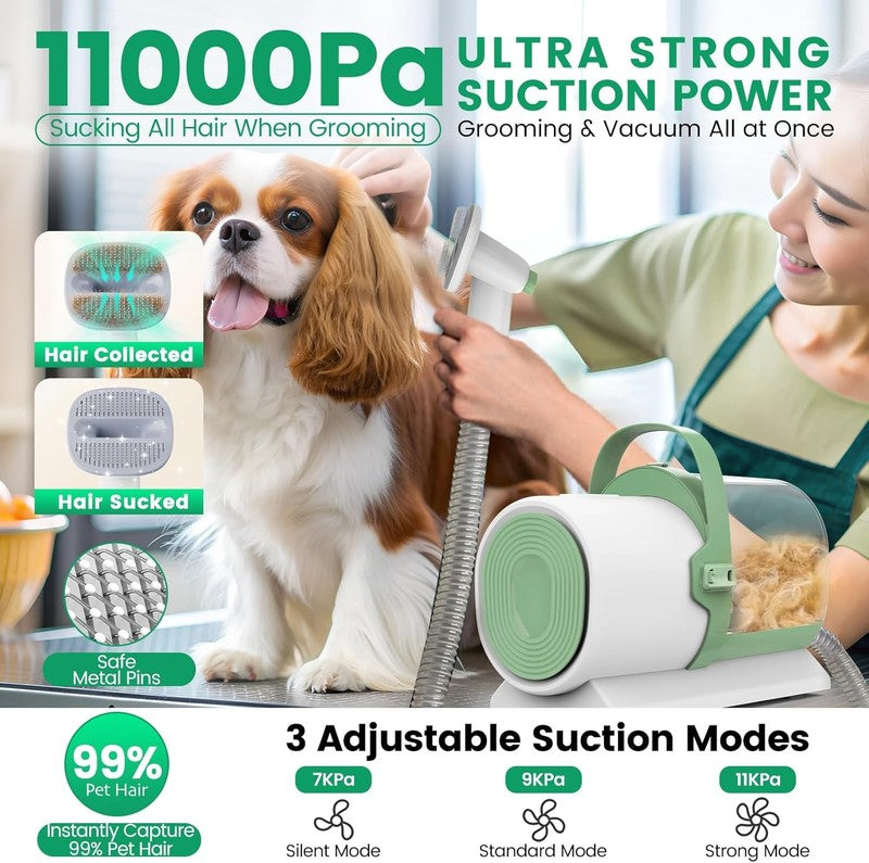 Dog Grooming Vacuum Kit 11000Pa Pet Hair Clipper Nail Grinder 7 Tools 2.5L2