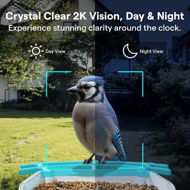 Solar Smart Bird Feeder w AI Camera Squirrel Deterrent Bird Songs Recognition5