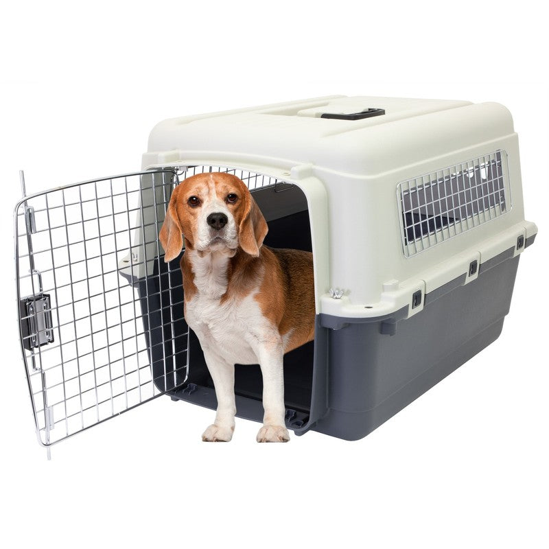 Airline Approved Plastic Dog Kennel with Wheels, Medium2