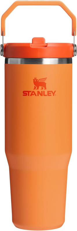 30oz Insulated Flip Straw Tumbler Stainless Steel Leak Resistant Handle10