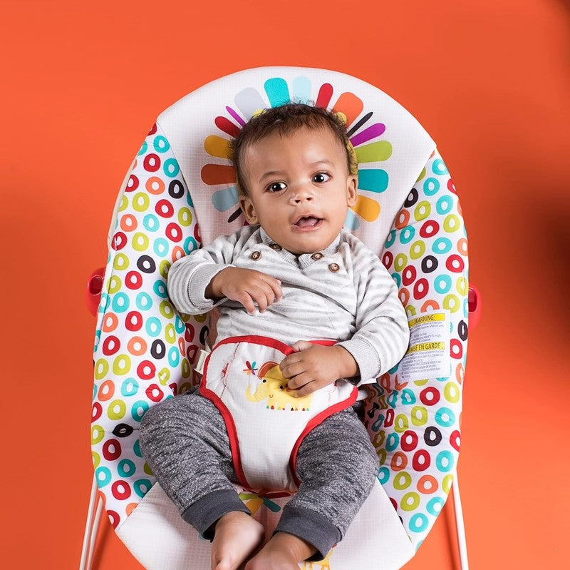 Portable Baby Bouncer Seat w/ Vibrations Toy Bar 0 6M 6 20lbs2