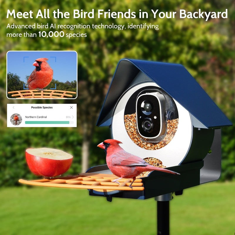 Smart Bird Feeder w 1080P HD Camera AI ID 10,000+ Species Auto Capture1