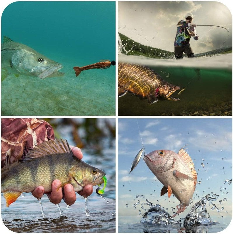Ultimate Freshwater Fishing Lures Kit for Bass, Trout & Salmon Tackle Box6