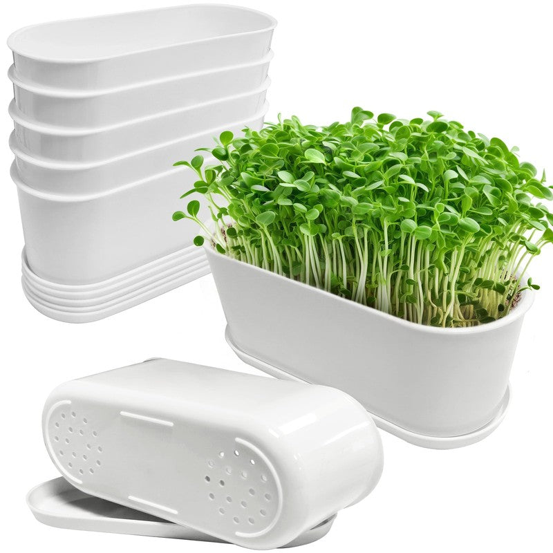 5-Pack Window Herb Planter Boxes w/ Drainage & Trays – Indoor Garden Pots0