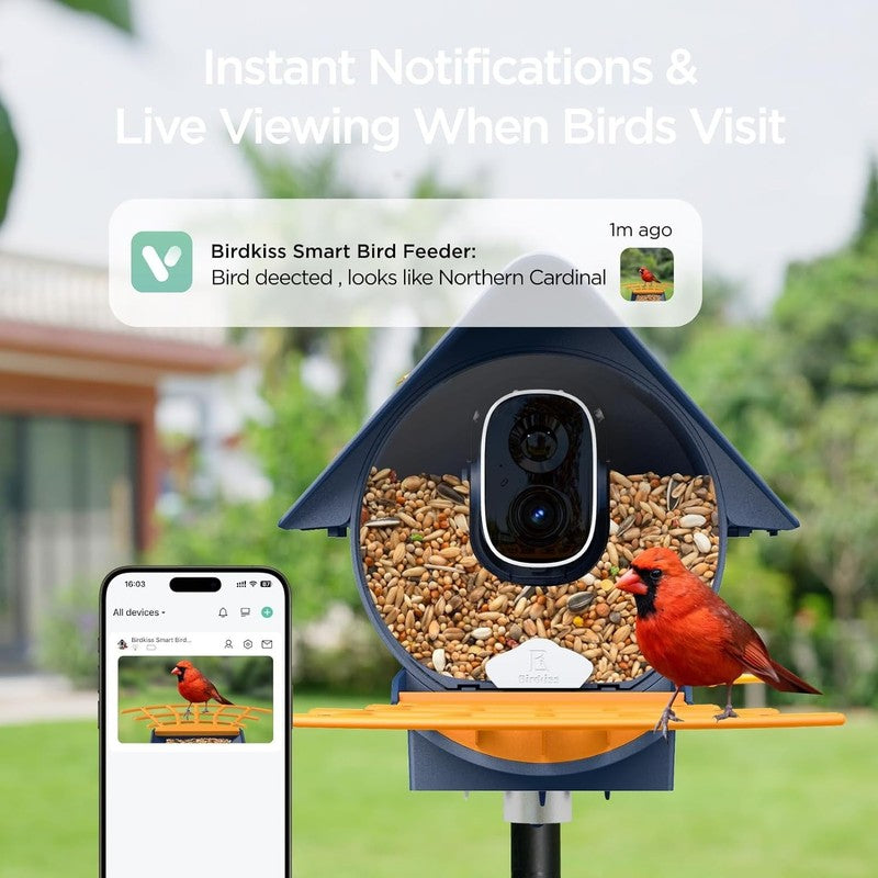Smart Bird Feeder w 1080P HD Camera AI Identification for Bird Lovers5