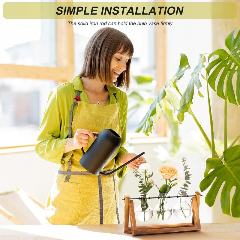 Plant Terrarium with Wooden Stand, Air Planter Bulb Glass Vase Metal Swivel Hold3