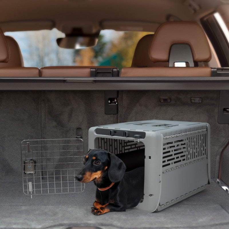 Sport Pet Designs 19-Inch Collapsible Plastic Dog Kennel, Portable Folding Pet C5
