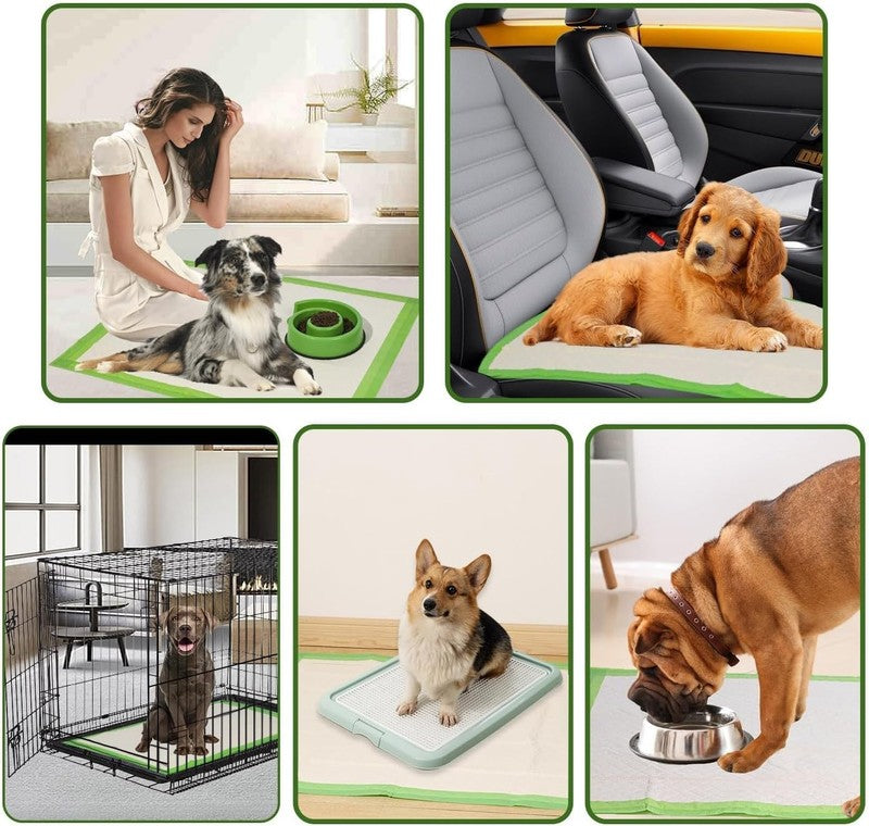 Dog Pee Pads Extra Large 28"X34", XL Thicker ECO Green Disposable Xlarge Puppy T6