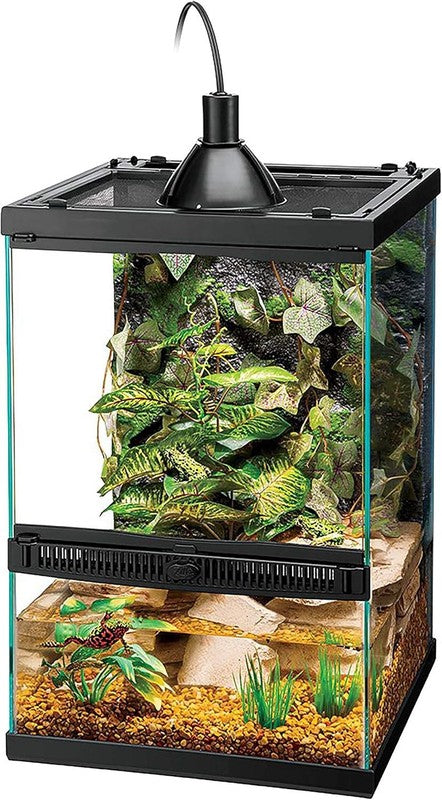 11 Gal Glass Tropical Vertical Habitat for Small Reptiles & Amphibians2