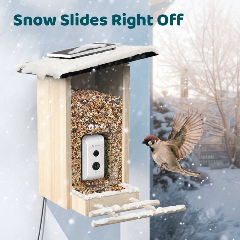 Smart Wooden Bird Feeder w/ Camera & Solar, AI ID 6000+ Species, Ebony7