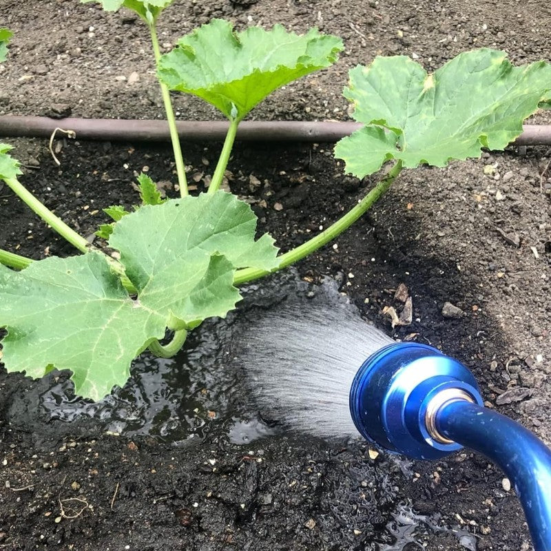 24" Watering Wand with Stainless Head - Ideal for Plants, Flowers & Gardens2