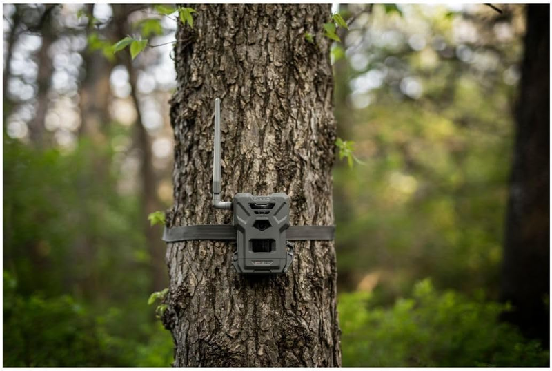 Flex-M Twin Pack Cellular Trail Cameras 28MP 720P Night Vision Dual SIM LTE IP651