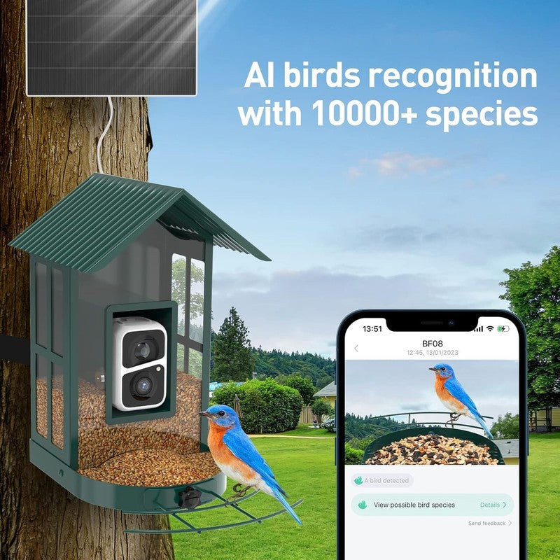 BF08 AI Identify Species Metal Bird Feeder Camera with 5W Solar Panel, Green6