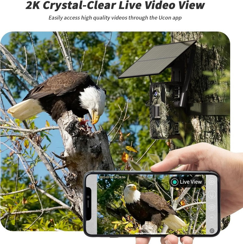 2 Pack 4G LTE Cellular Trail Cameras Live View SIM Night Vision IP664
