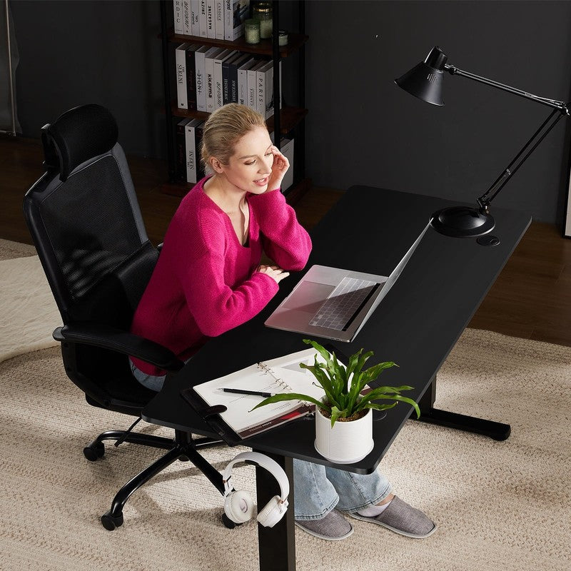 55"×24" Electric Height Adjustable Standing Desk Sit Stand Workstation Black2