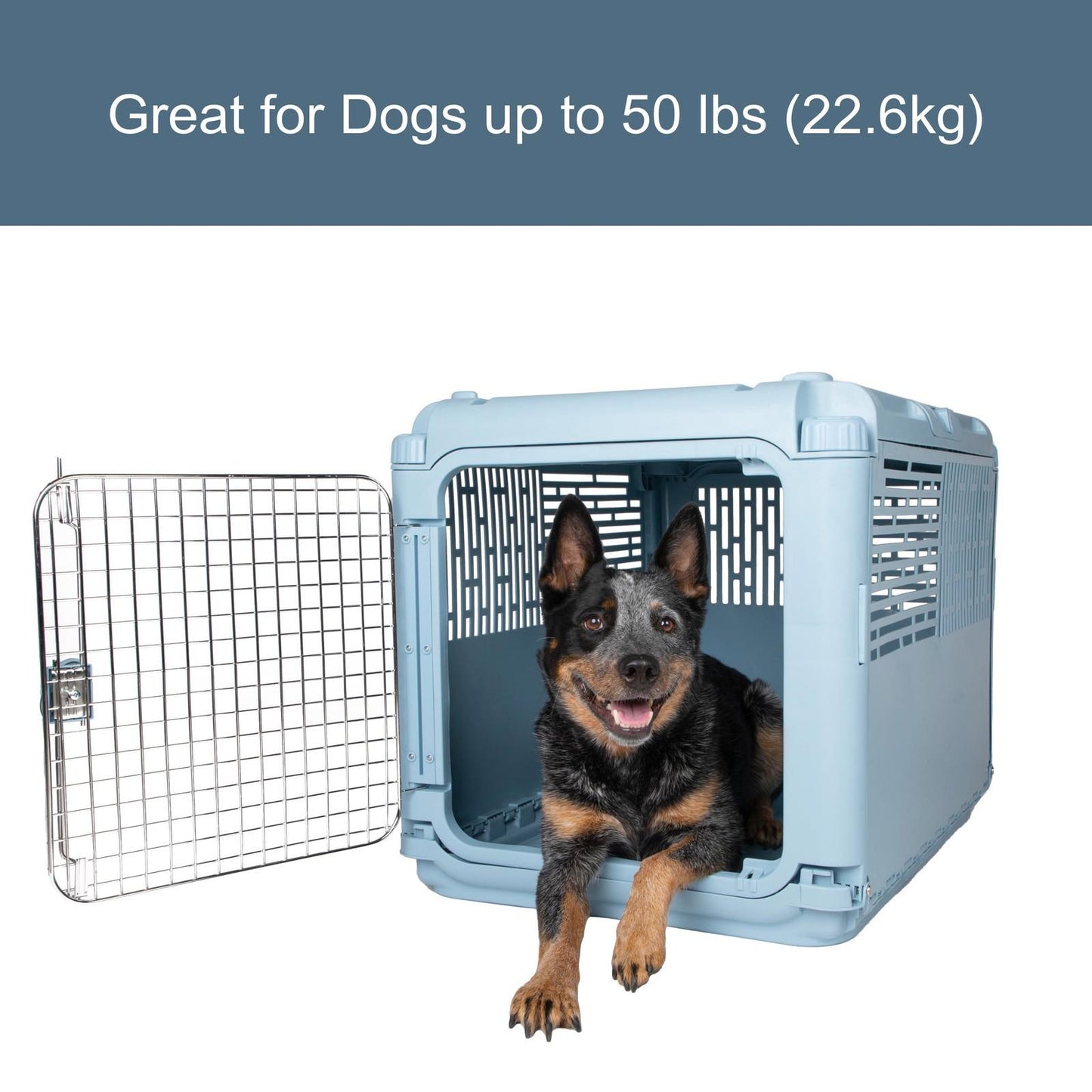 Sport Pet Designs, Dog Kennels, 30" Collapsible Plastic Pet Kennel/Crate, Blue,