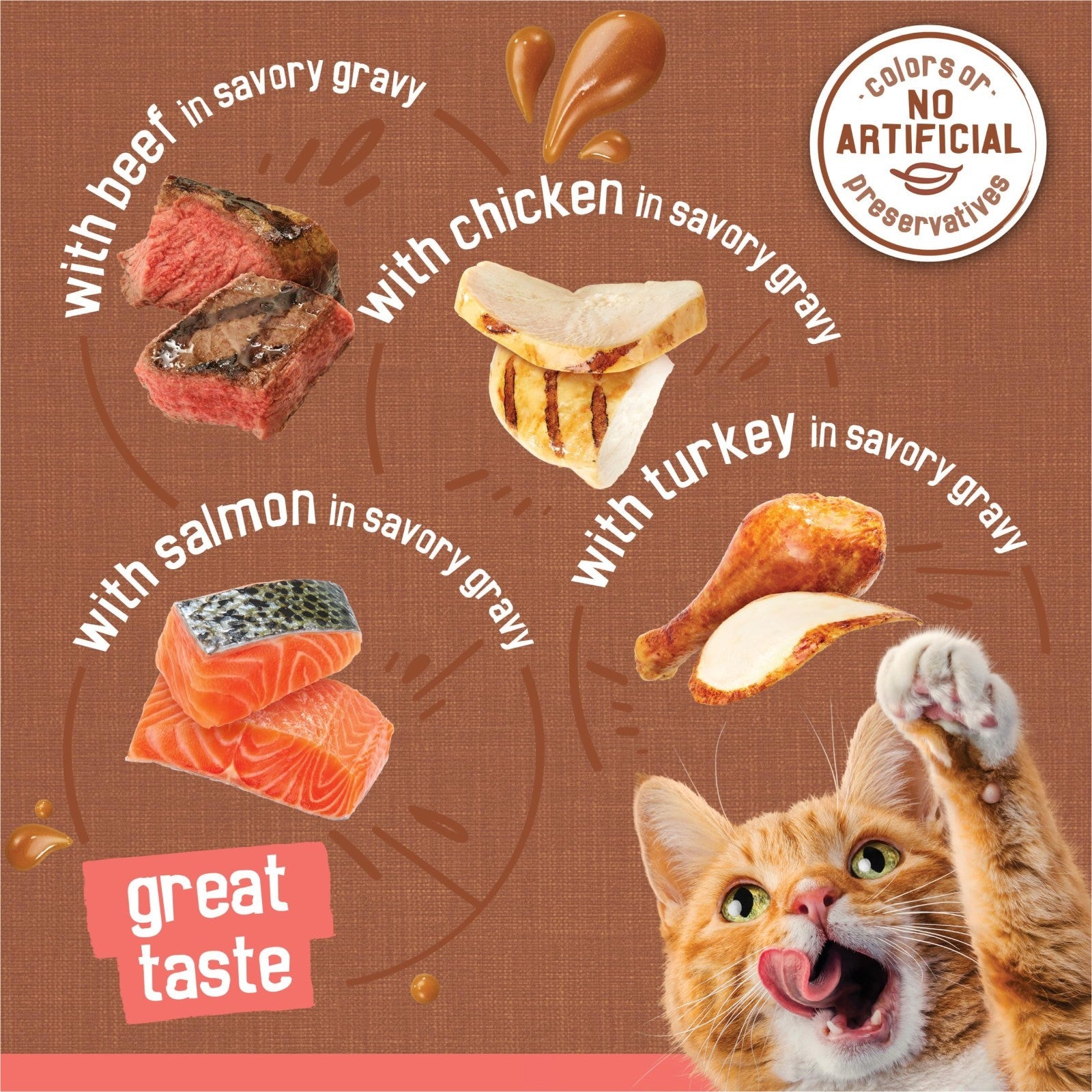 Chunky Wet Cat Food Variety Pack 24ct   Extra Gravy Chicken, Turkey, Salmon, Bee4