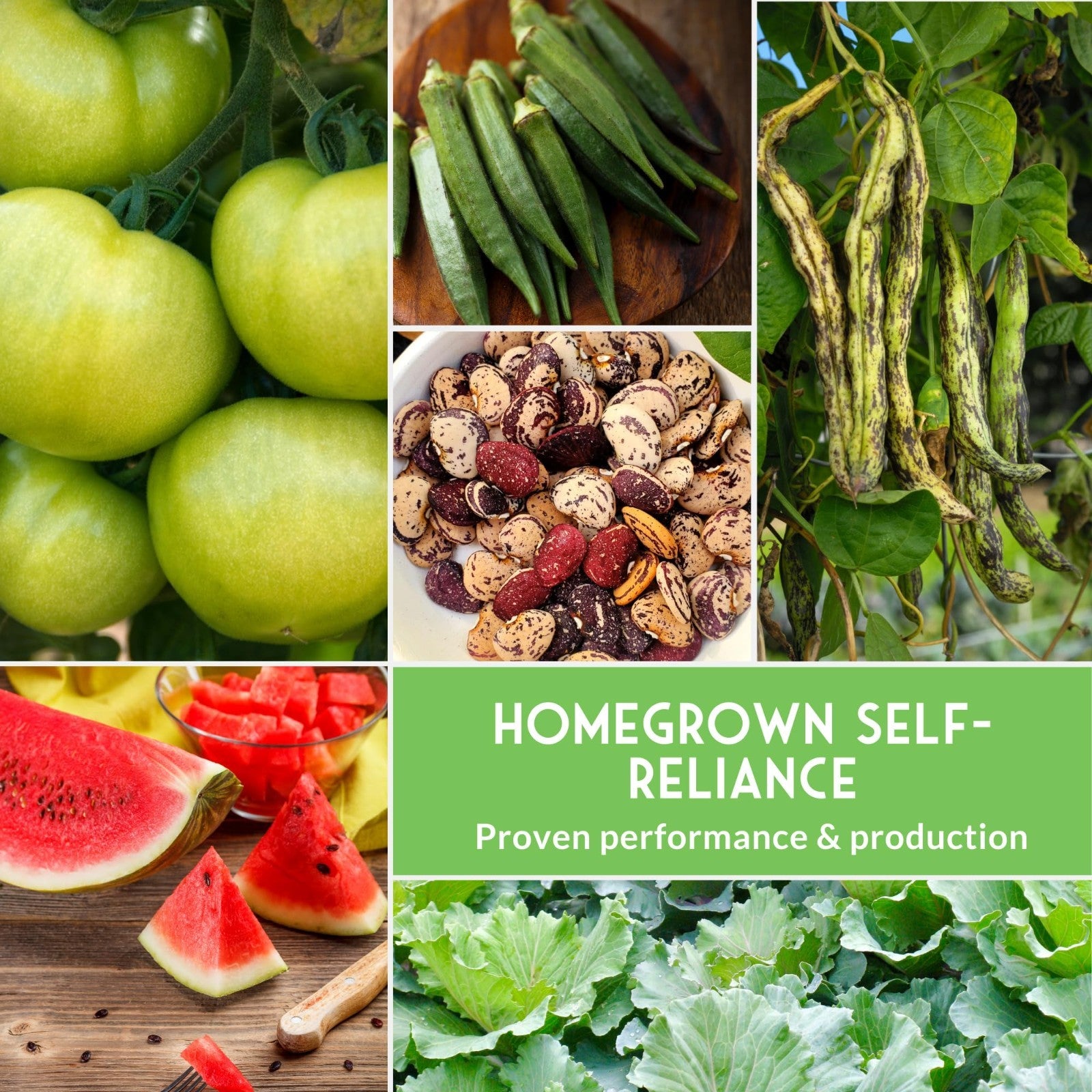 Heirloom Southern Vegetable Seeds Collection - 15 Heat-Loving Varieties for Gard4