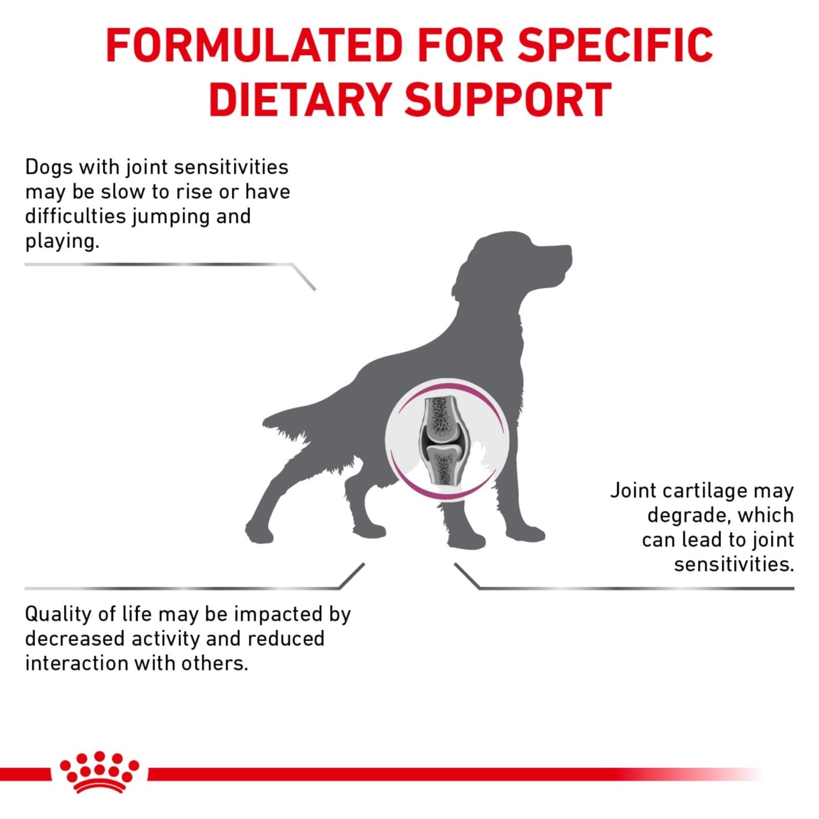 Advanced Mobility Support Dry Dog Food - 8.8 lb - Veterinary Diet for Adult Dogs2