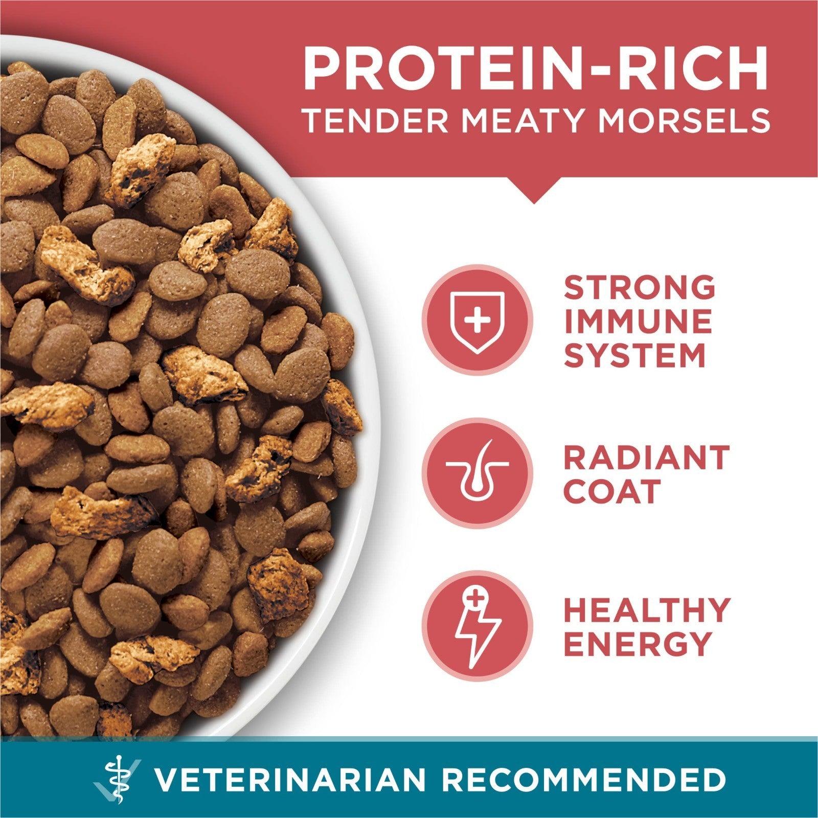 Tender Selects Dry Cat Food with Salmon   16 lb Bag, High Protein, Natural Ingre8