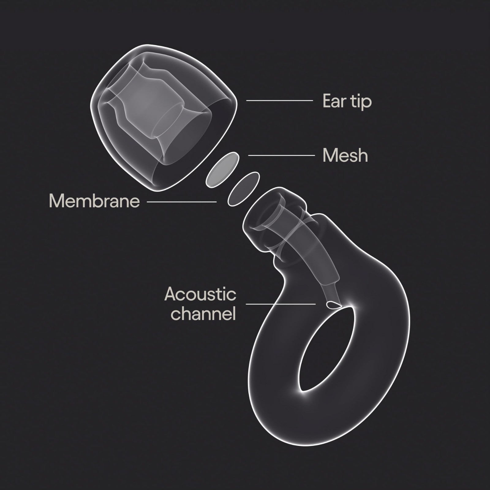 High Fidelity Ear Plugs for Concerts & Festivals | 17dB Noise Reduction, Stylish5