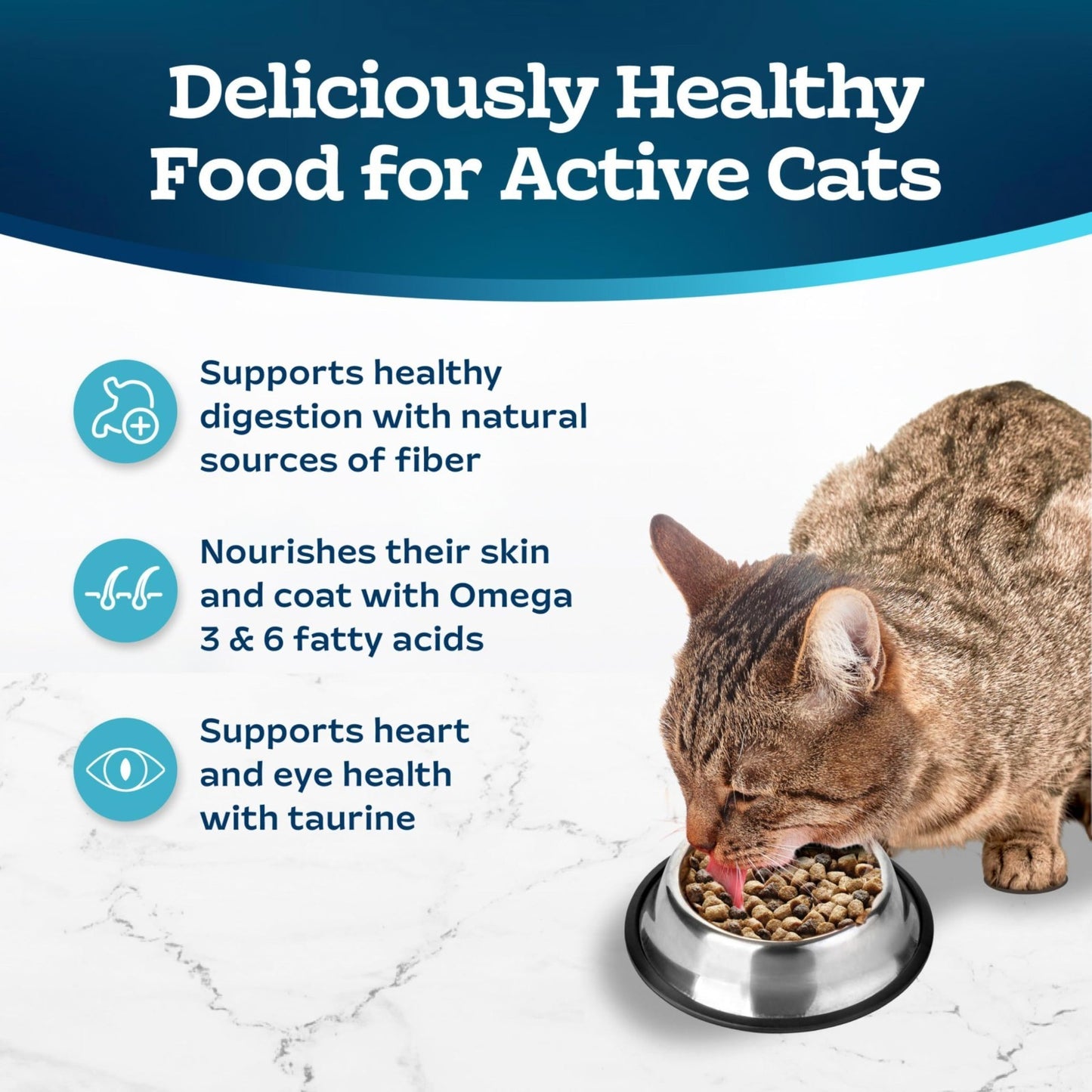 Premium Chicken & Brown Rice Dry Cat Food, 3 lb   Healthy Nutrition for Active C3