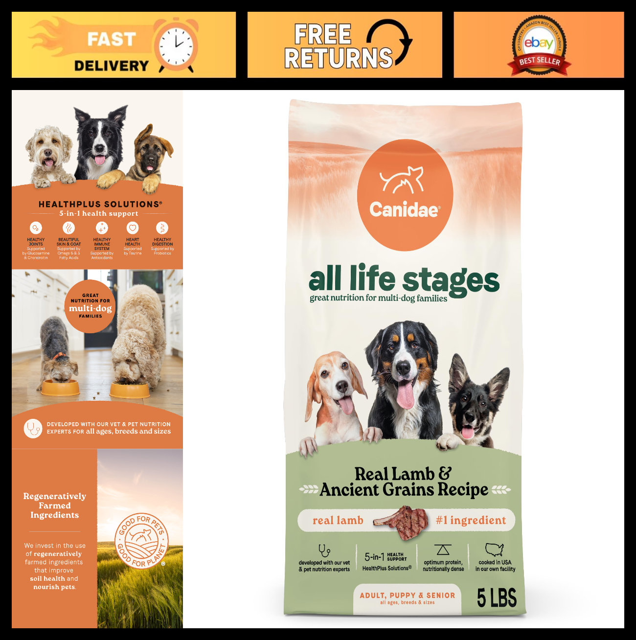 All Life Stages Dog Food, Real Lamb & Ancient Grains, 5 lb   Healthy Nutrition0