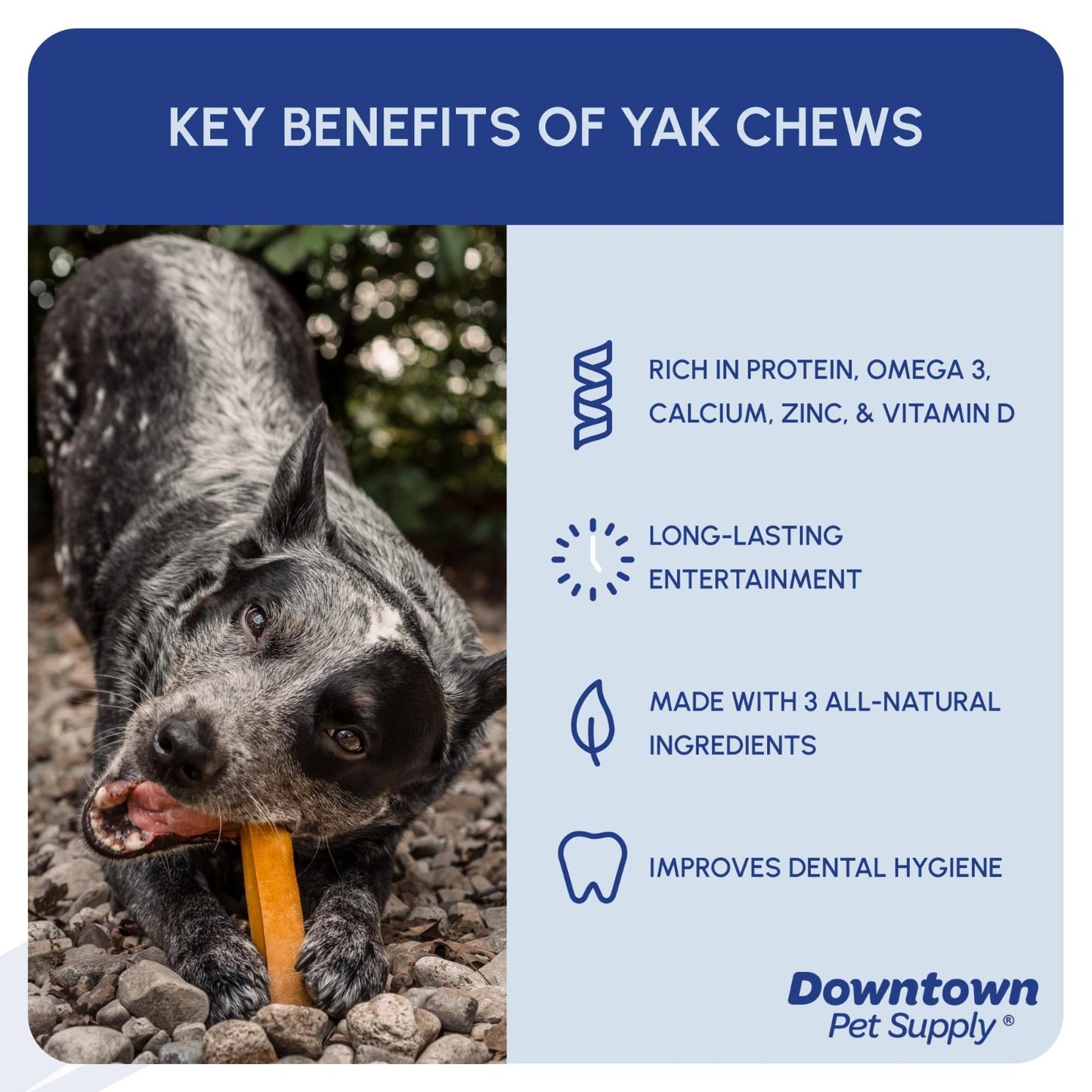 Natural Yak Chew Dog Treats - 2 lbs, Long-Lasting Chews from Nepal, Healthy Snac2