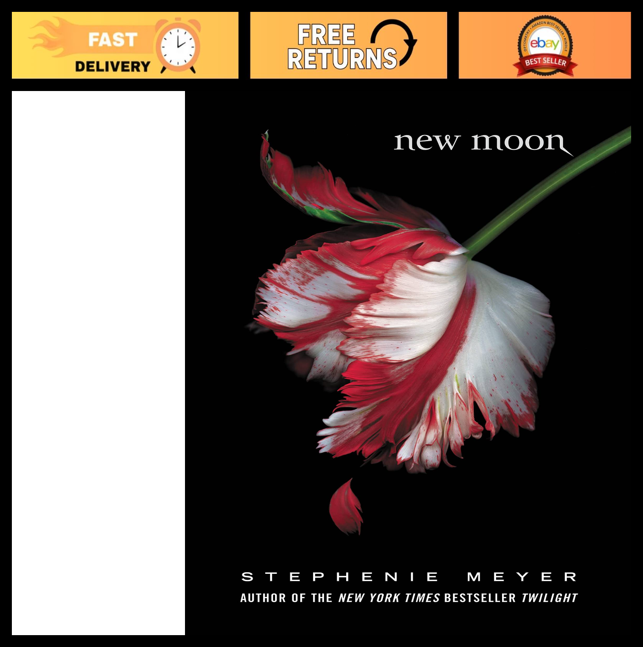 New Moon Phase Wall Art - Celestial Decor, Lunar Print, Home & Office Decoration0