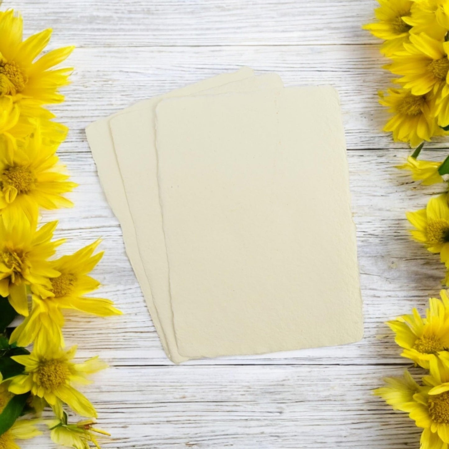 5x7 Off-White Deckle Edge Cotton Card Stock, 25 Pack - Vintage Handmade 200 GSM3