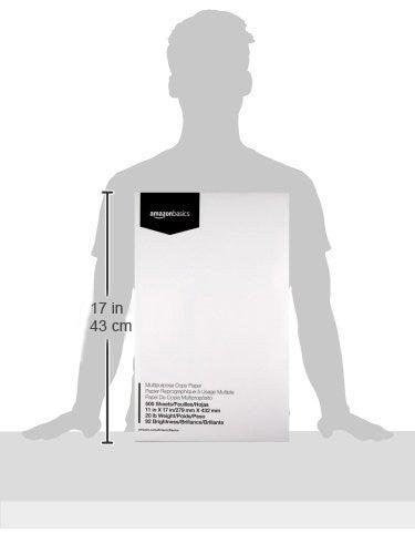 Multipurpose Copy Printer Paper 20 lb, 11x17 Inches, 2500 Sheets, Bright White R2