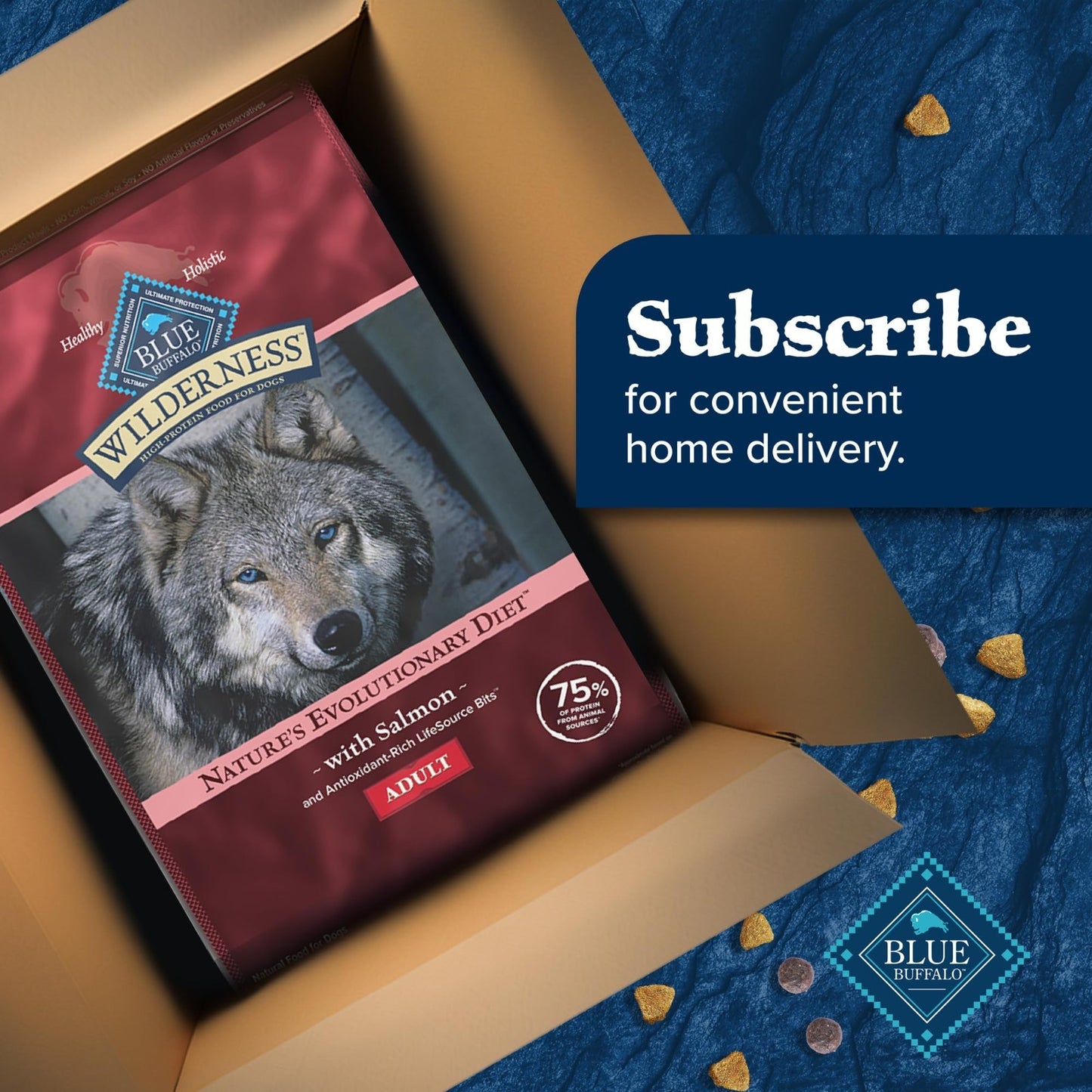 Grain Free Salmon & Wholesome Grains Adult Dry Dog Food, 24 lb   High Protein, N9
