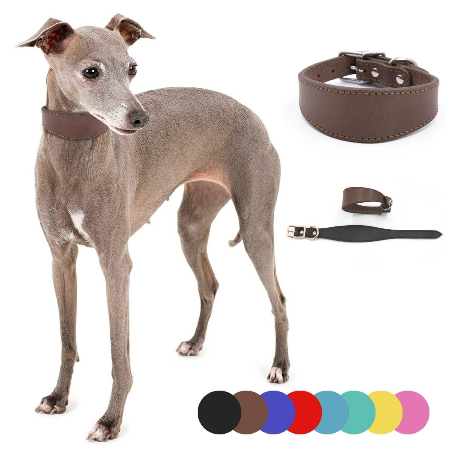 Wide Padded Leather Dog Collar for Lurchers & Italian Greyhounds - Comfortable P5
