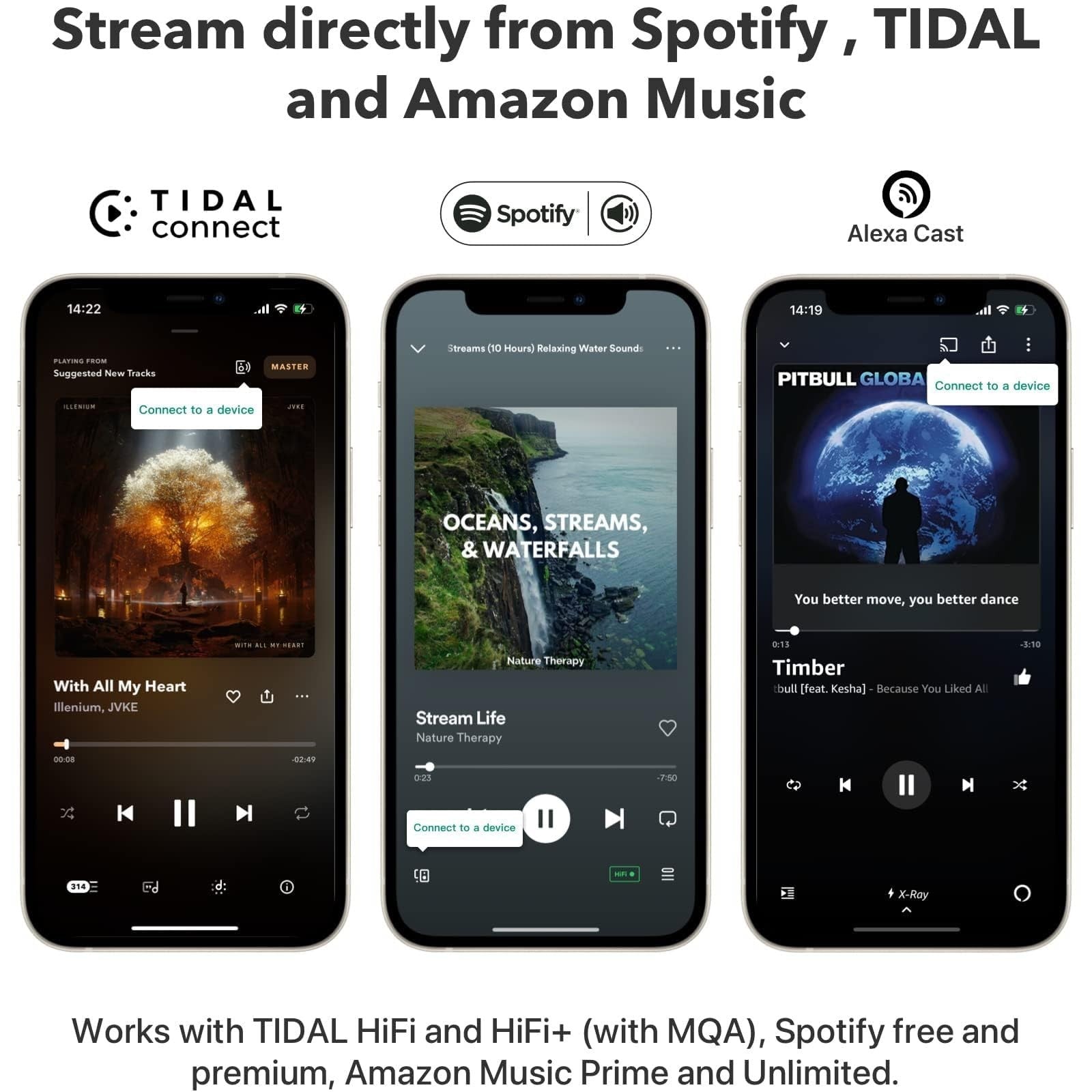 Wireless Audio Streamer, AirPlay 2, Multiroom Stereo Preamplifier, Alexa & Siri4