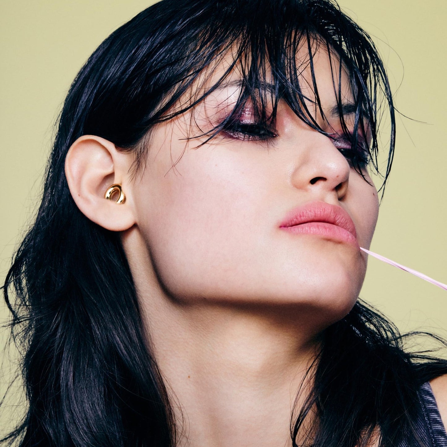 High Fidelity Ear Plugs for Concerts & Festivals | 17dB Noise Reduction, Stylish3