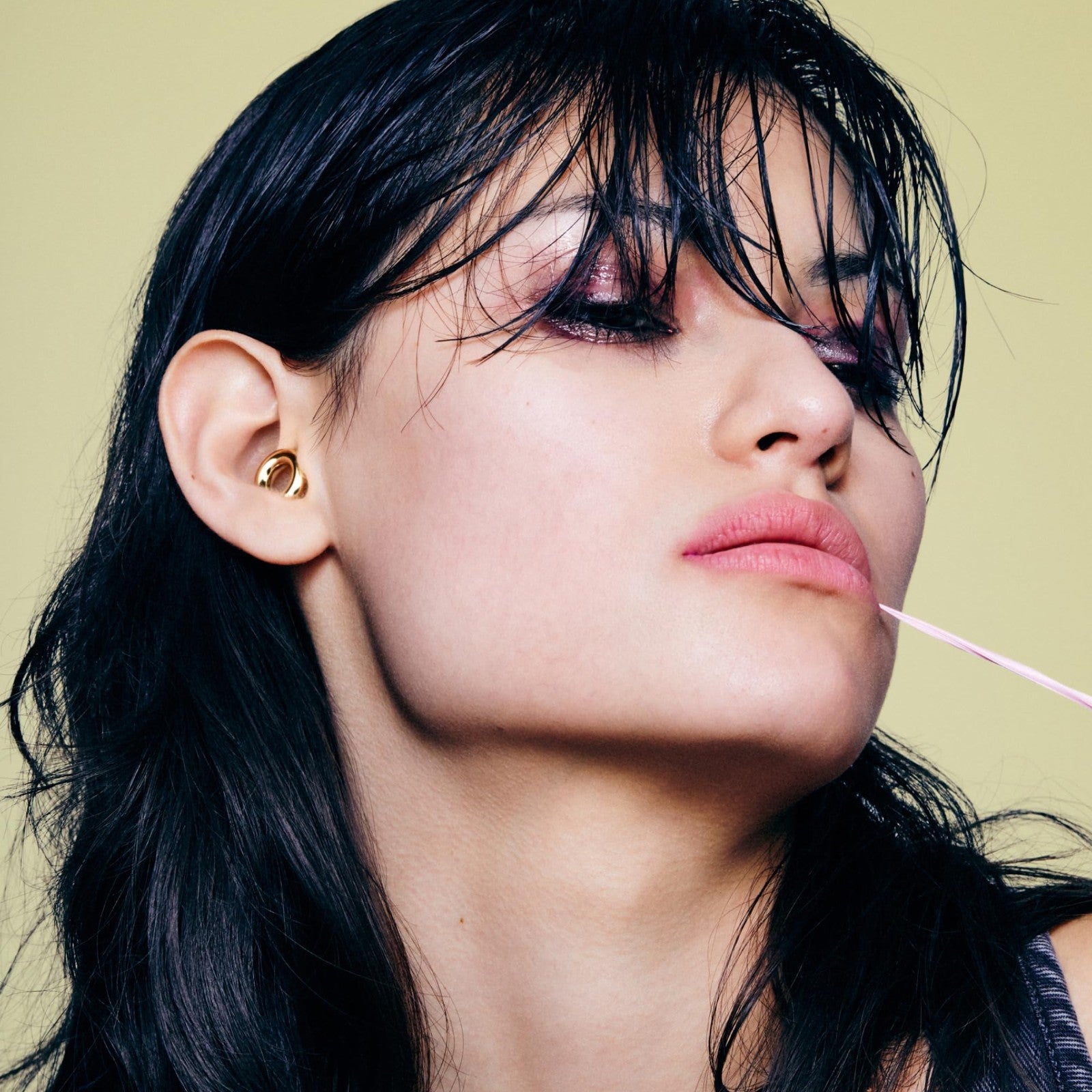 High Fidelity Ear Plugs for Concerts & Festivals | 17dB Noise Reduction, Stylish3
