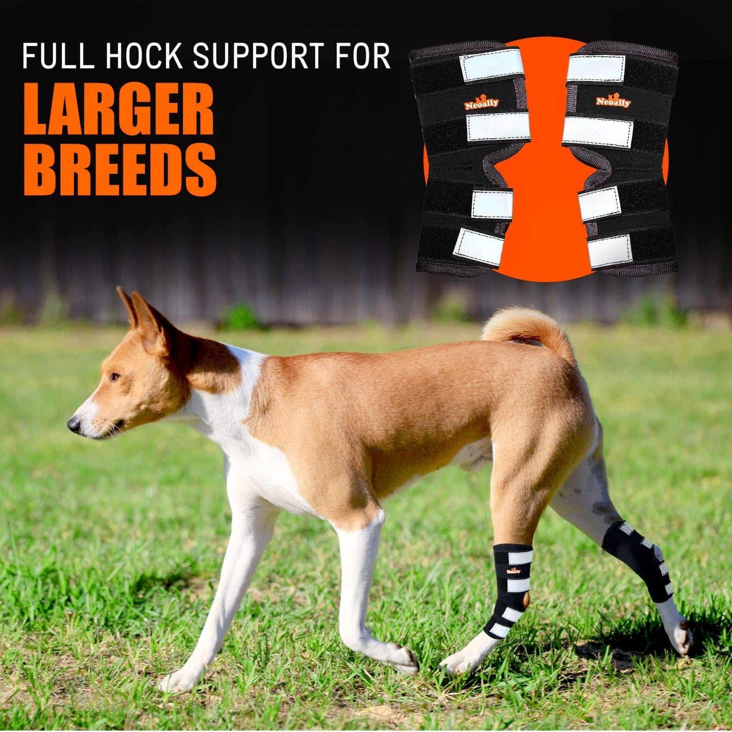 Rear Leg Hock Brace for Large Dogs - Support for Torn ACL & CCL, 1 Pair2